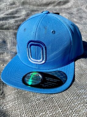 Overtime Ombre Snapback This flat brim hat ombre embroidered “O” BLUE